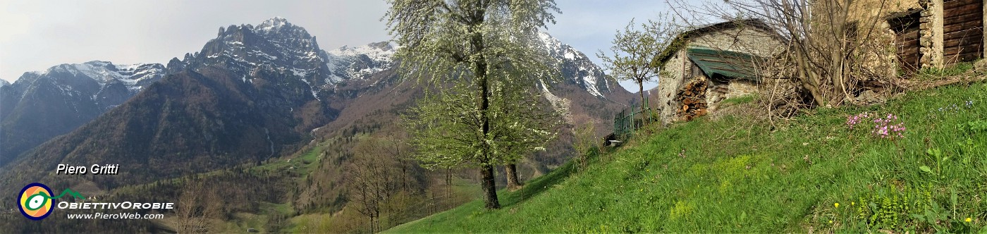 25 Panorama dalla Costa del Gras verso la Cornetta e la Corna Grande dietro il ciligio in fiore.jpg